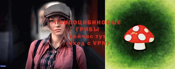 сатива Нязепетровск