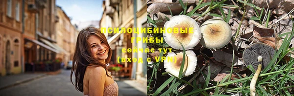 сатива Нязепетровск