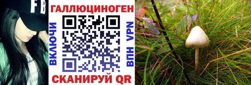 даркнет сайт  Костомукша  Псилоцибиновые грибы Cubensis 