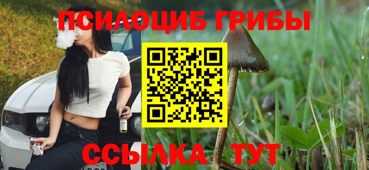 ГАШ  Вход с VPN  APVP СК кристаллы  Меф кристаллы  ЭКСТАЗИ  Кокаин  Костомукша  Марихуана 
