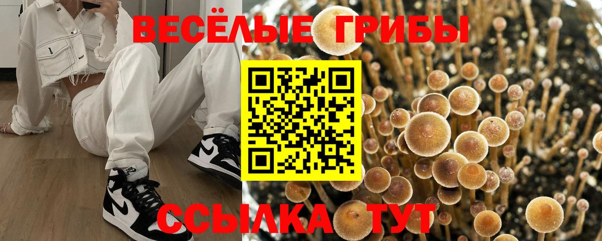 Псилоцибиновые грибы прущие грибы Костомукша