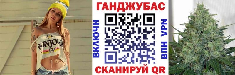 закладки  Костомукша  Каннабис тримм 